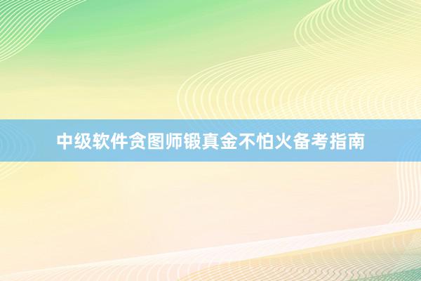 中级软件贪图师锻真金不怕火备考指南